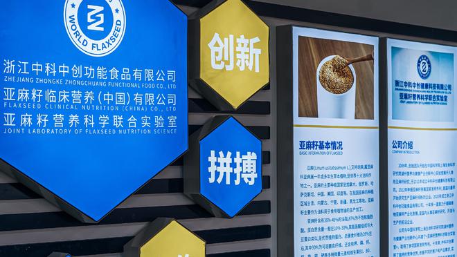 中科中创领航亚麻籽产业革新全方位服务体系激发健康饮食无限潜能(图2)