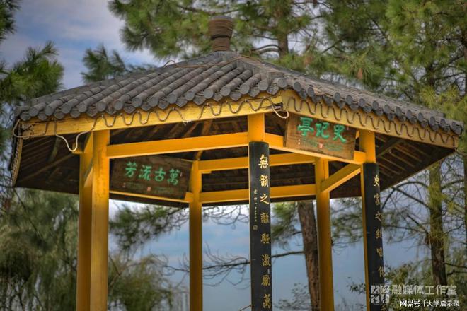 江南大学专业强不强？数据来证明考上就是赚到！(图3)